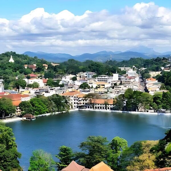 Kandy & Pinnawala Elephant Orphanage Day Tour From Colombo - Inclusions and Accessibility