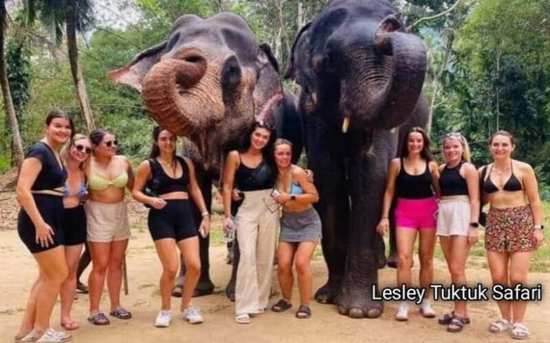 Kandy : Pinnawala Elephant Safari Tour with Kandy City Tour - Good To Know