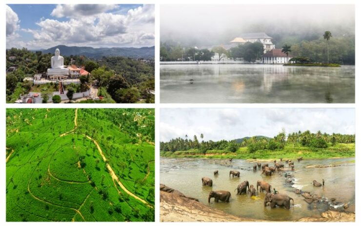Kandy Pinnawala Full Day Tour From Bentota and Kalutara - Tour Description