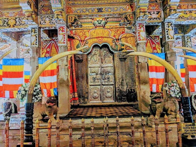 Kandy, Pinnawala & Tea Factory Full Day Tour From Colombo - The Experience: What to Expect from this Full-Day Tour