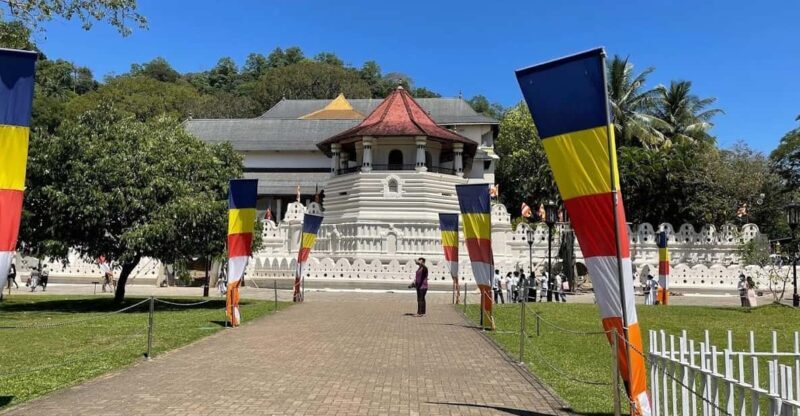 Kandy & Pinnawala & Tea Factory Full Day Tour From Negombo - The Sum Up