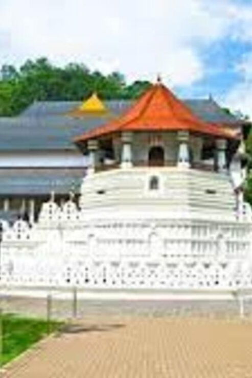 Kandy, Pinnawala & Tea Factory Full Day Tour From Negombo - Good To Know