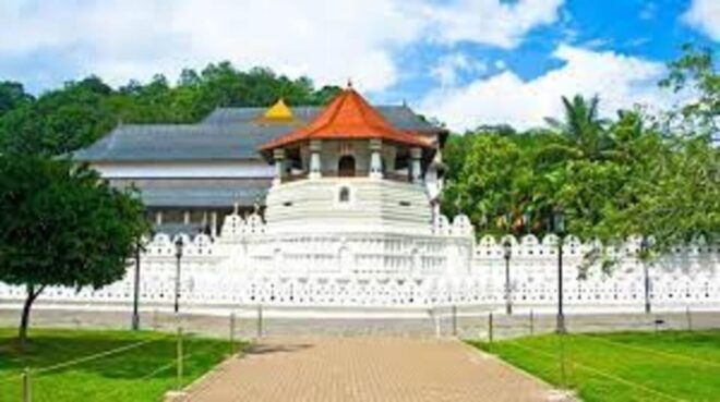 Kandy, Pinnawala & Tea Factory Full Day Tour From Negombo - Itinerary Highlights