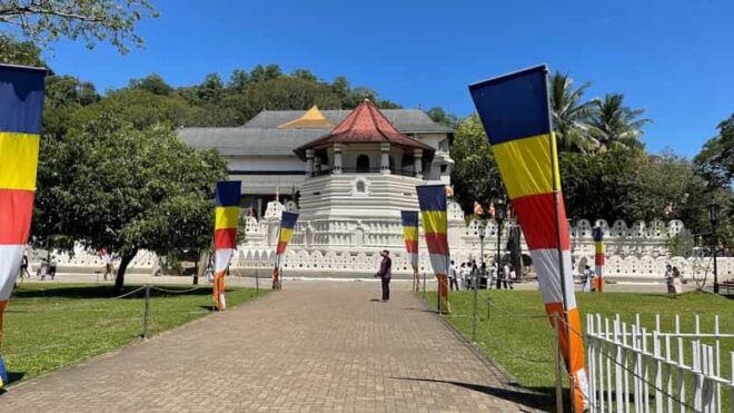 Kandy, Pinnawala & Tea Factory Full Day Tour From Negombo - Key Inclusions
