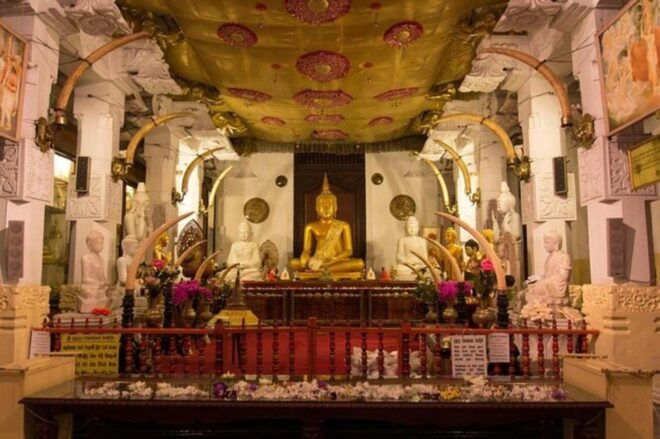 Kandy, Pinnawala & Tea Factory Full Day Tour From Negombo - Important Information
