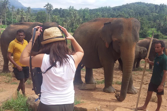 Kandy Private Day Tour - Includes