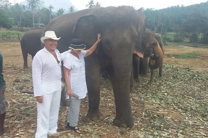 Kandy Private Day Tour - Pickup Points
