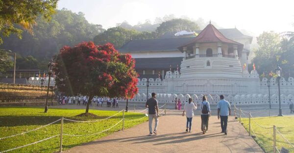 Kandy Private Day Trip: From Colombo - Travel Tips