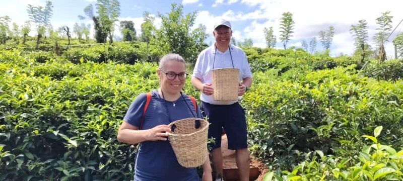 Kandy: Private Ella Journey with Tea, Falls & Arch Bridge - Final Thoughts