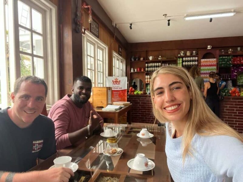 Kandy: Private Ella Journey with Tea, Falls & Arch Bridge - Who Should Consider This Tour?