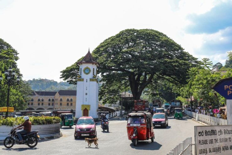 Kandy: Private Guided City Tours by Tuk Tuk Sightseeing Tour - Tour Duration and Driver Information