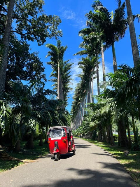 Kandy Privet Day Tour With Pinnawala and Tea Plantation - Transportation Details