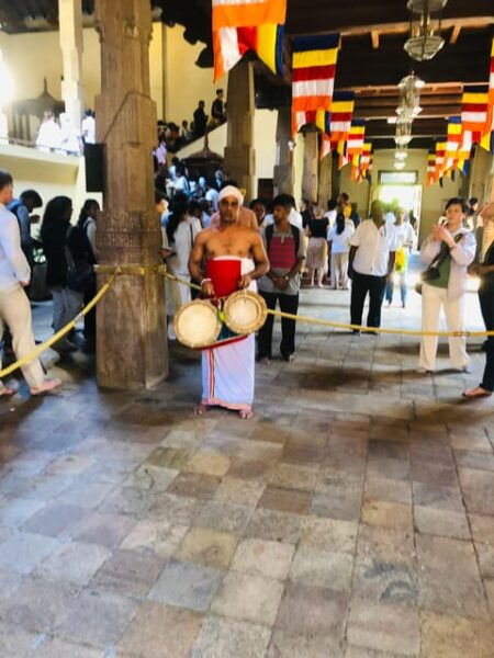 Kandy Privet Day Tour With Pinnawala and Tea Plantation - Frequently Asked Questions