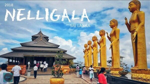 Kandy Royal Botanical Gardens Peradeniya By Tuk Sri Lanka - Highlights of the Botanical Gardens Experience