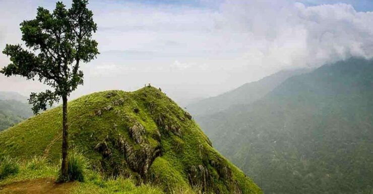 Kandy: Shanthipura and Nuwara Eliya - Trip Overview