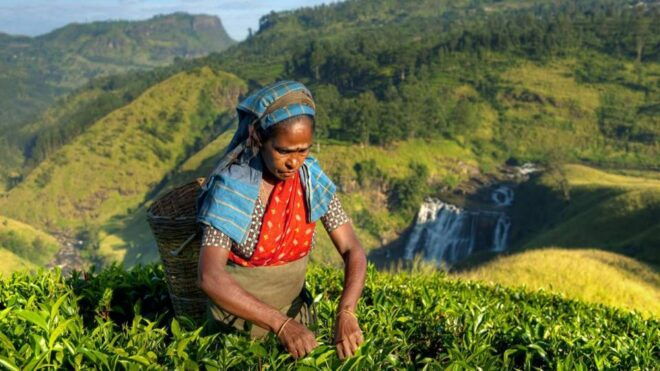 Kandy: Shanthipura and Nuwara Eliya - Directions