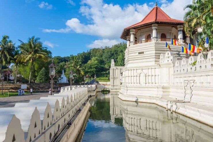Kandy: Sightseeing City Tour and Pinnawala Day Tour - Pinnawala Orphanage Experience