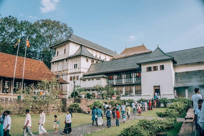 Kandy Sightseeing Day Tour From Bentota (All Inclusive) - Itinerary Highlights