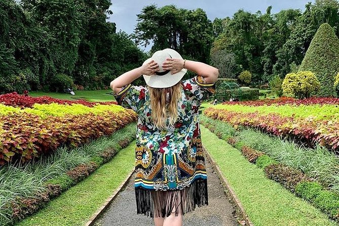 Kandy Sightseeing Day Tour From Bentota (All Inclusive) - Pricing Information