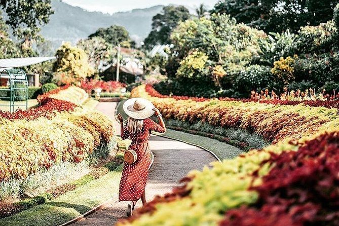 Kandy Sightseeing Day Tour From Bentota (All Inclusive) - Booking and Reservation Process