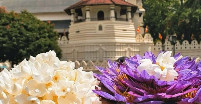 Kandy: Sightseeing Tour by Tuk Tuk Morning or Evening - Inclusions and Exclusions