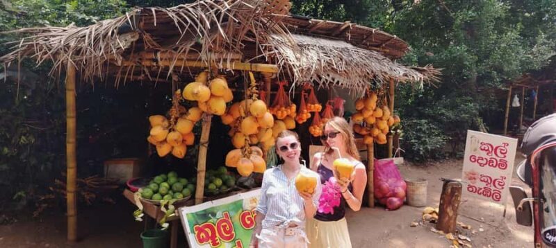 Kandy: Sigiriya and Dambulla Tuk Tuk Safari with Lunch - Good To Know