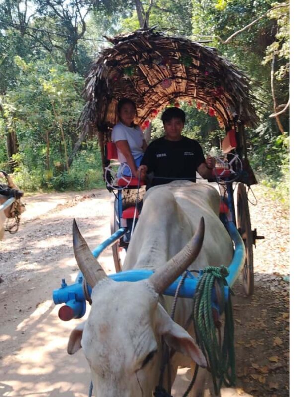 Kandy: Sigiriya and Dambulla Tuk Tuk Safari with Lunch - Final Thoughts
