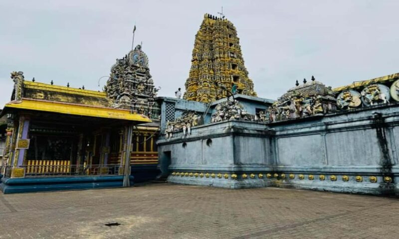 Kandy: Sigiriya & Dambulla Cave Temple Tour with Local Guide - Value for Money