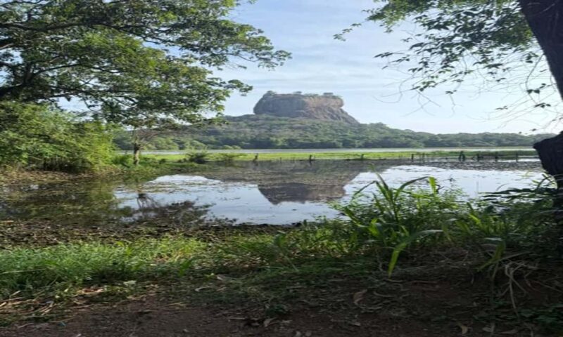 Kandy: Sigiriya & Dambulla Cave Temple Tour with Local Guide - Final Thoughts