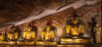 Kandy Sigiriya, Dambulla,Minneriya National Park Day Tour - A big day linking Kandy, Sigiriya and Dambulla