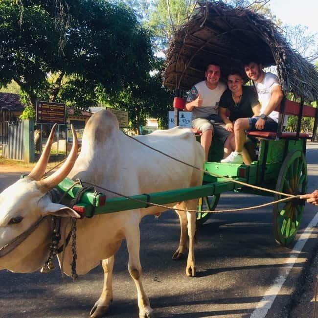 Kandy : Sigiriya Guided Day Tour By Tuk Tuk - Final Thoughts
