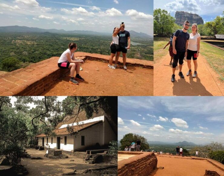 Kandy: Sigiriya Rock Dambulla and Minneriya National Park - Highlights