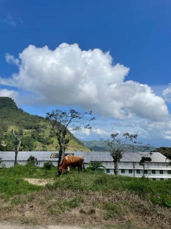 Kandy: Sir James Taylors Loolkandura Tea Heritage Hike - Good To Know