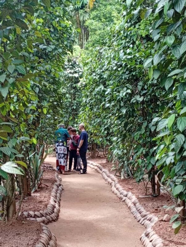 Kandy: Spice Garden & Artisan Workshops Tuk Tuk Tour - FAQ