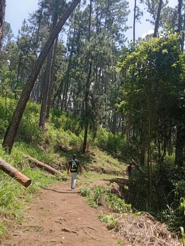 Kandy: Tea estate Factory & Waterfalls, Ambuluwawa tour - The Sum Up: Who Will Love This Tour?