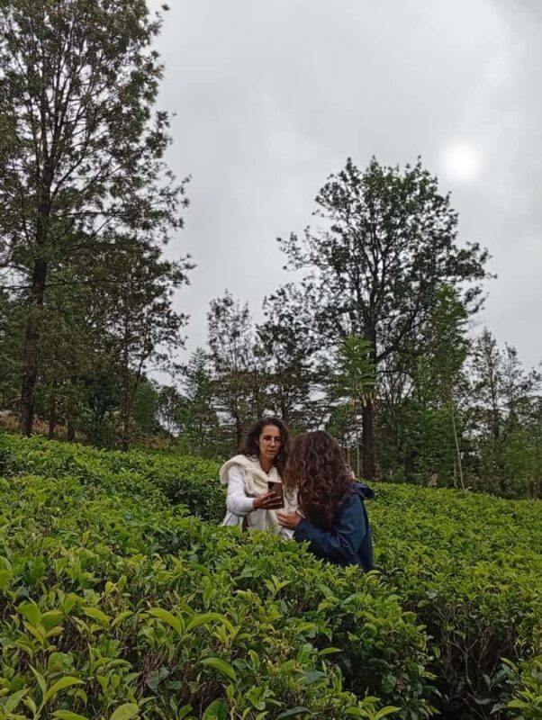 Kandy: Tea estate Factory & Waterfalls, Ambuluwawa tour - Who Should Consider This Tour