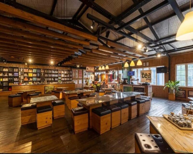 Kandy Tea Tasting at Pilimathalawa with Pickup & Drop - Good To Know