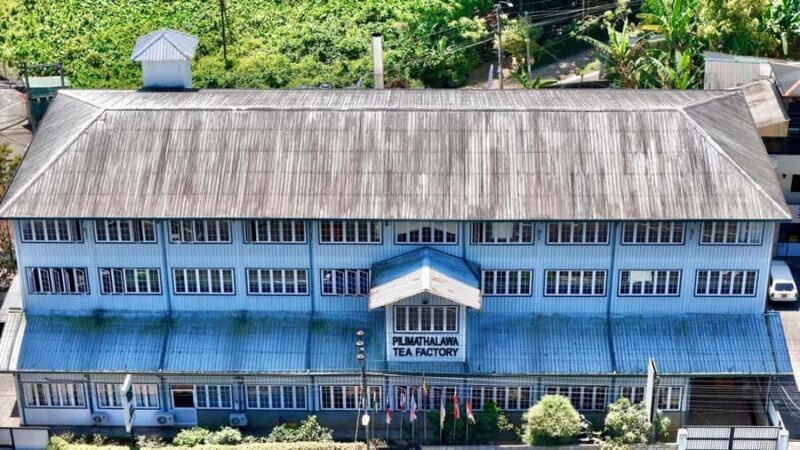 Kandy Tea Tasting at Pilimathalawa with Pickup & Drop - The Experience in Detail