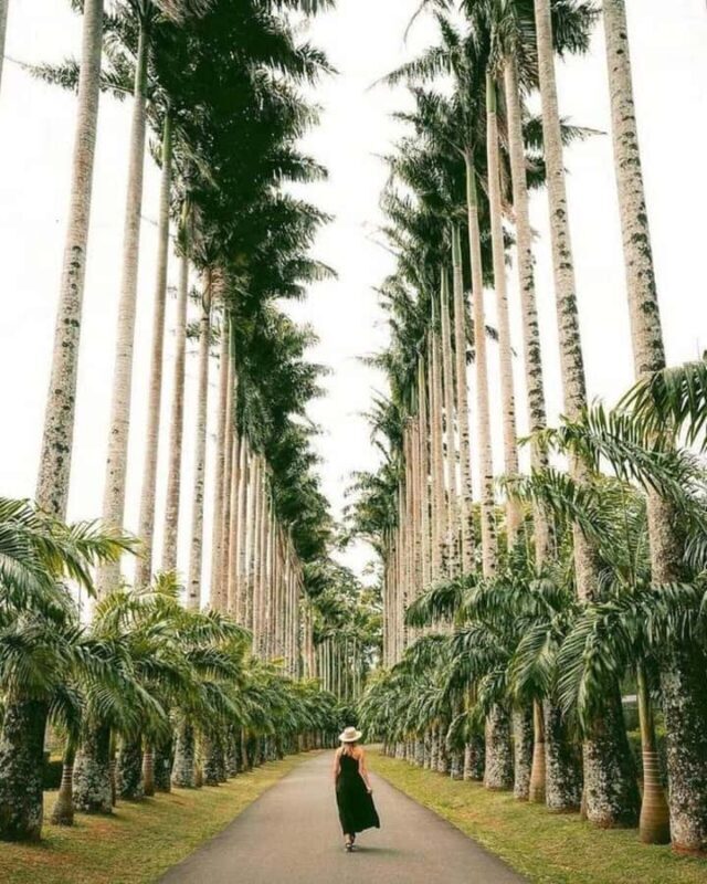 Kandy: Temple of Tooth, Train Ride, & Cave Waterfall Tour - Good To Know