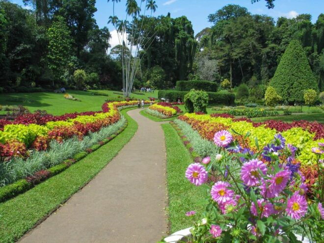 Kandy: Temples, Gardens & Cultural Show City Highlights Tour - Activity Provider