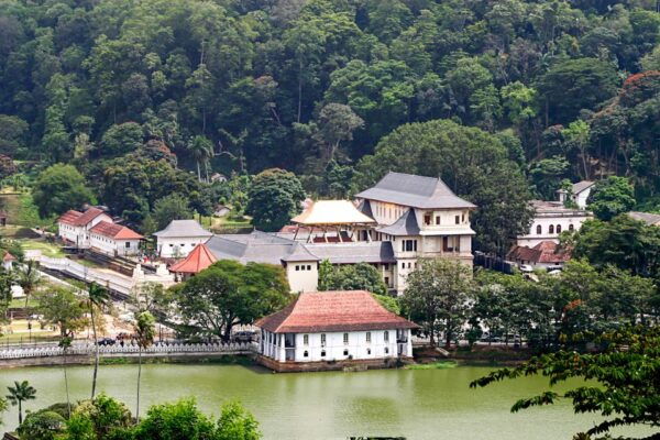 Kandy: Temples, Gardens & Cultural Show City Highlights Tour - Pricing and Availability