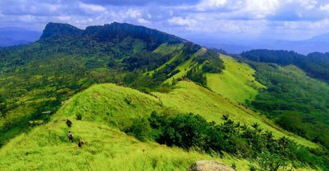 Kandy: The Pekoe Trail ( Hanthana To Galaha ) - Trail Features