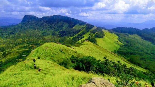 Kandy: The Pekoe Trail ( Hanthana To Galaha ) - Booking Process