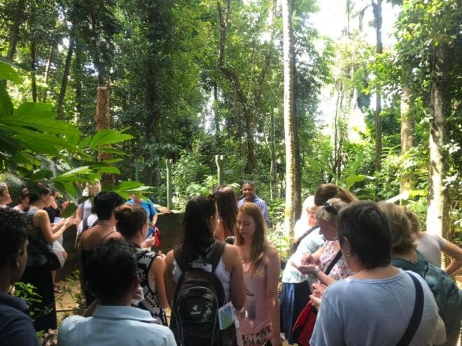 Kandy To Ambuluwawa Tower Day Tour By Tuk Tuk - Sri Lanka - Positive Customer Review