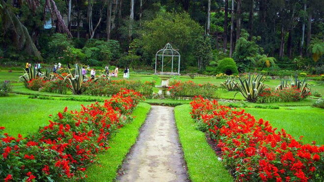Kandy To Ambuluwawa Tower Day Tour - Recommendations