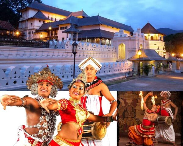 Kandy To Ambuluwawa Tower & Ihala Kotte Day Tour By Tuk Tuk - Booking Details