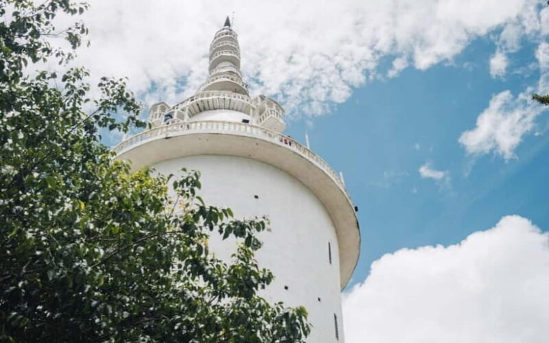 Kandy to Ambuluwawa Tower, Pinnawala, Full Day Tour - Why This Tour Offers Great Value