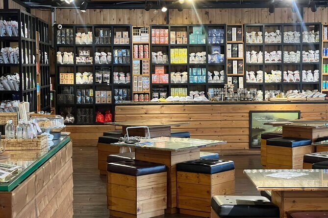 Kandy to Ambuluwawa Tower & Tea Factory Tuk Tuk Tour - Who Will Appreciate This Tour?