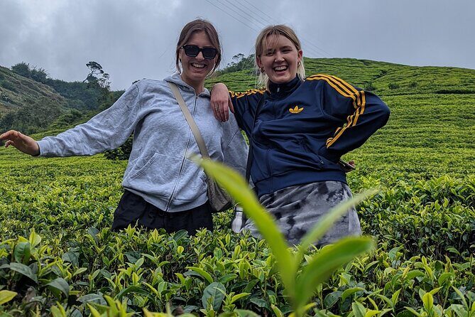 Kandy To Dambulla and Sigiria City Full Day by Laka Tours - FAQ