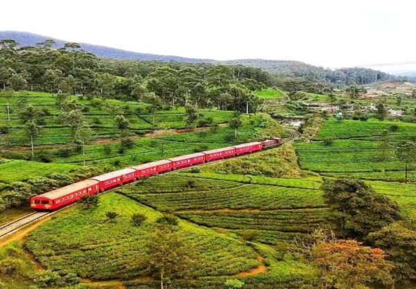 Kandy To Ella 2nd Class Reserved Seats in Morning Train - Frequently Asked Questions